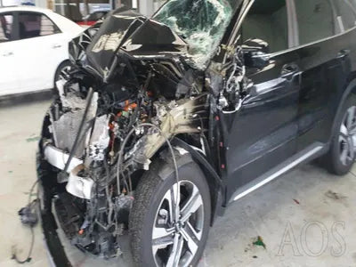 2020 Kia Sorento KNARH81GBMA026218 VIN:KNARH81GBMA026218