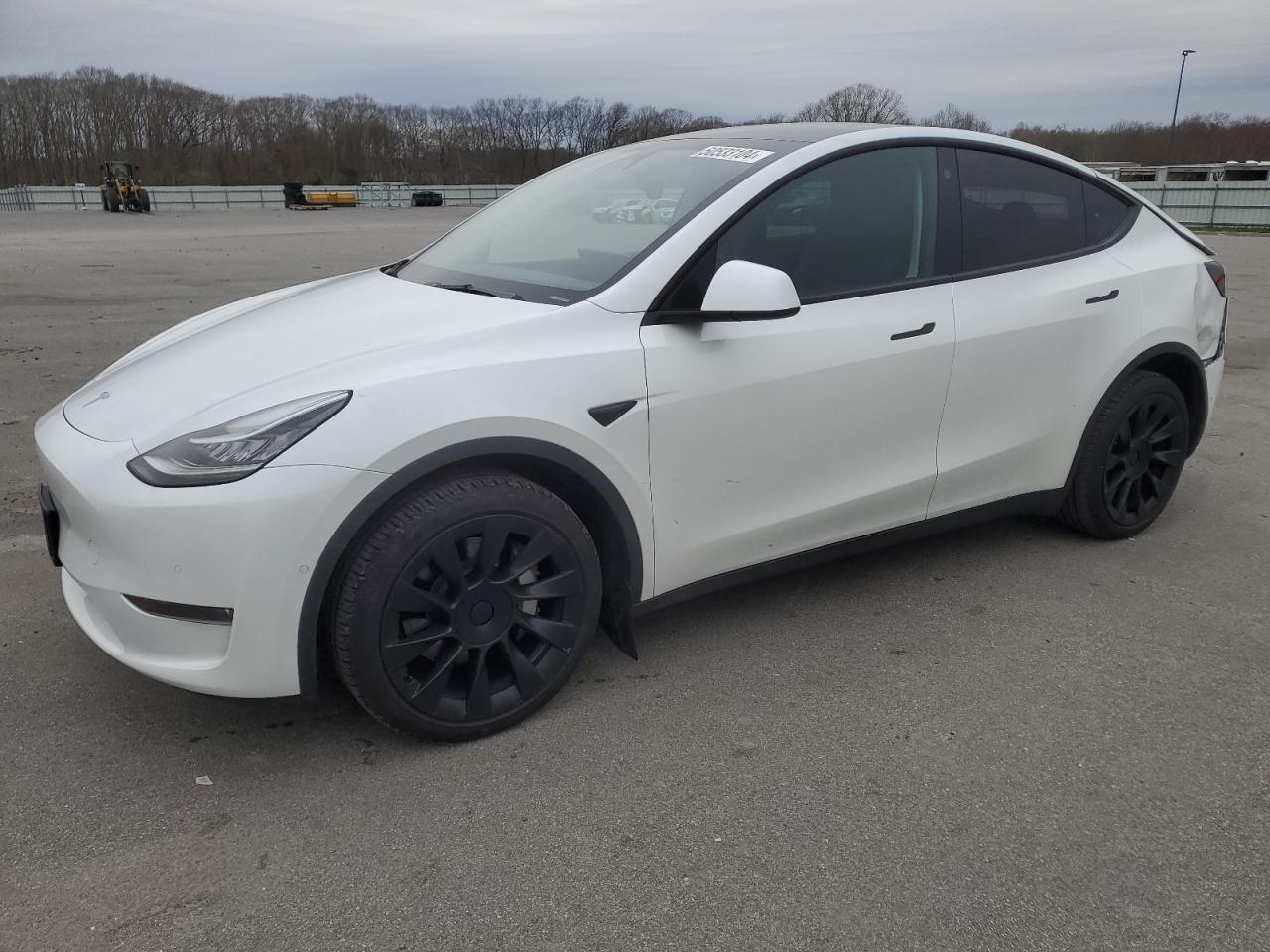 2022 TESLA MODEL Y  VIN:7SAYGDEE1NA010894