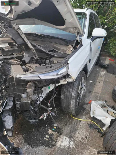 2019 Hyundai Santa FE KMHS381ABLU193107 VIN:KMHS381ABLU193107