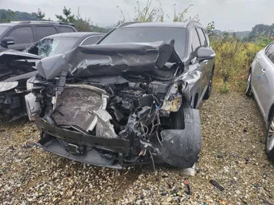 2019 Hyundai Santa FE KMHS381ADKU074587 VIN:KMHS381ADKU074587