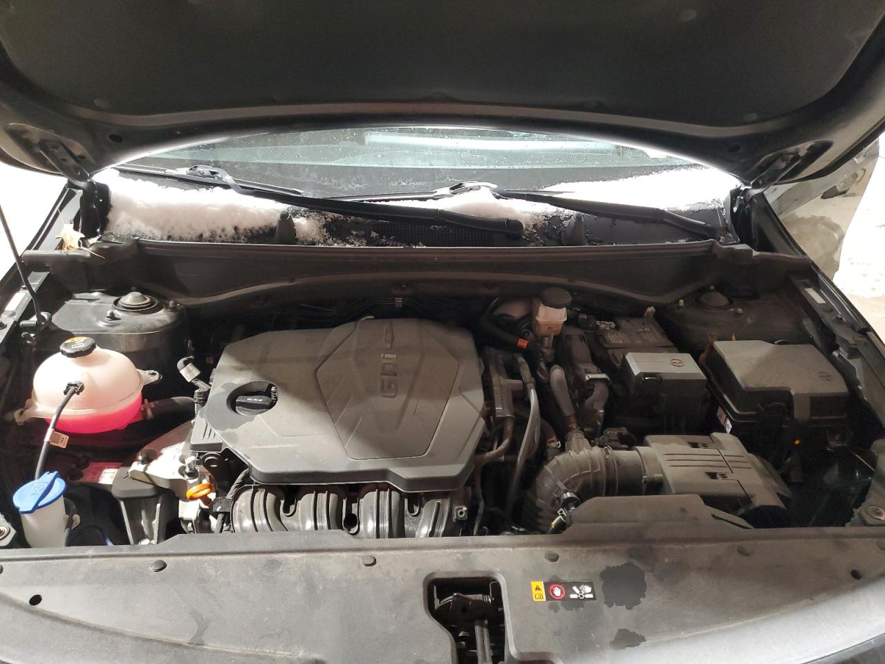 2023 KIA SPORTAGE EX VIN:5XYK33AF0PG084961
