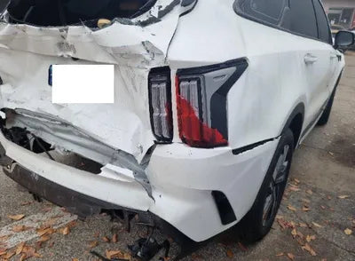 2023 Kia Sorento KNARJ81GBPA204006 VIN:KNARJ81GBPA204006