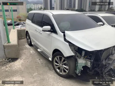 2019 Kia Carnival KNAMB81ABKS607118 VIN:KNAMB81ABKS607118