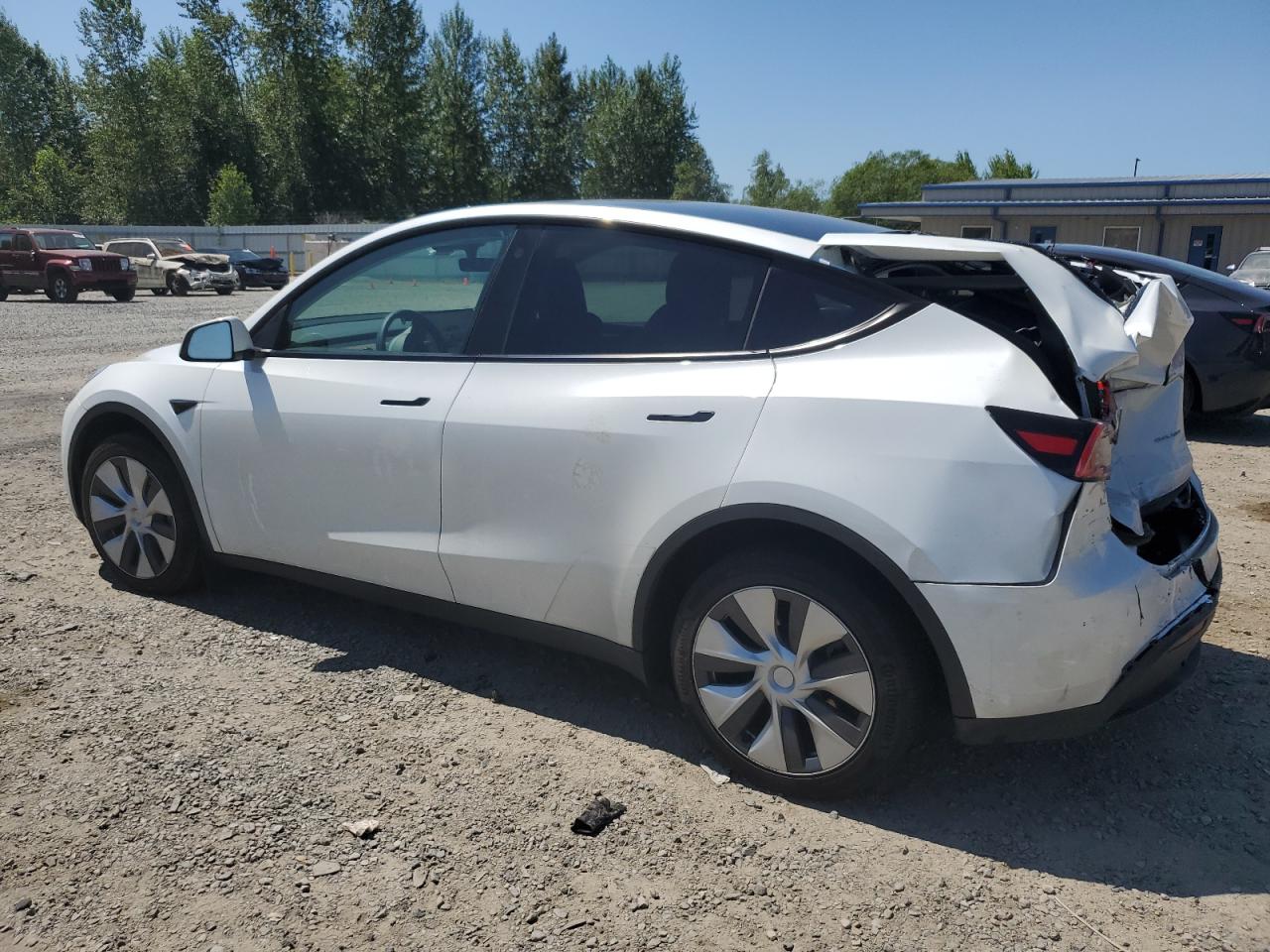 2023 TESLA MODEL Y  VIN:7SAYGDEE8PF764543