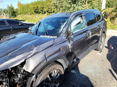 2019 Hyundai Santa FE KMHS281BBKU157211 VIN:KMHS281BBKU157211