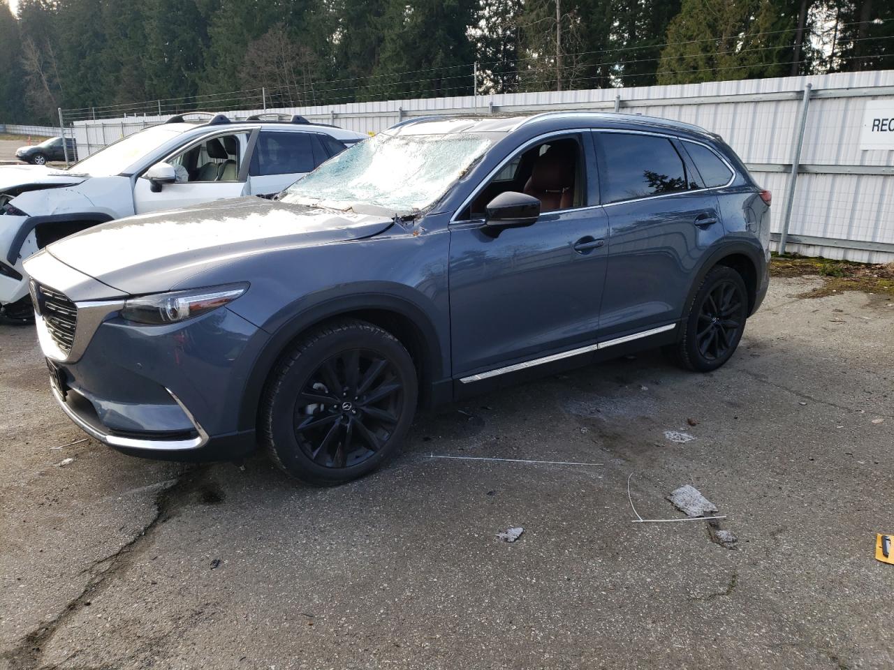 2023 MAZDA CX-9 GRAND TOURING VIN:JM3TCBDY5P0643039