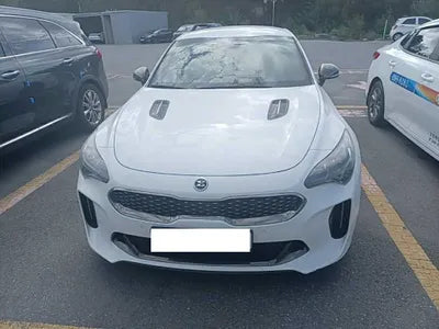 2020 Kia Stinger KNAE351ADLS069348 VIN:KNAE351ADLS069348