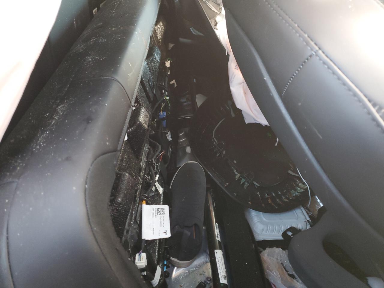 2023 TESLA MODEL Y  VIN:7SAYGDEE2PA170155