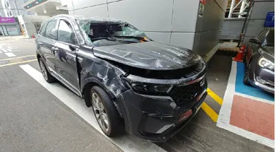 2021 Kia Sorento KNARG81BGMA017381 VIN:KNARG81BGMA017381
