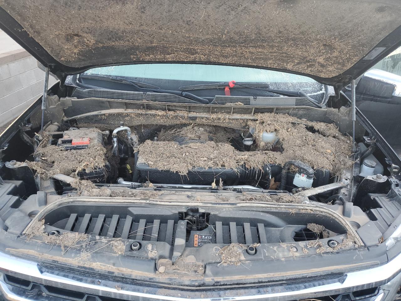 2022 CHEVROLET SILVERADO C1500 LT VIN:1GCPACED0NZ626885