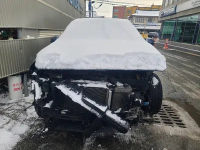 2019 Hyundai Santa FE KMHS381CDKU156880 VIN:KMHS381CDKU156880