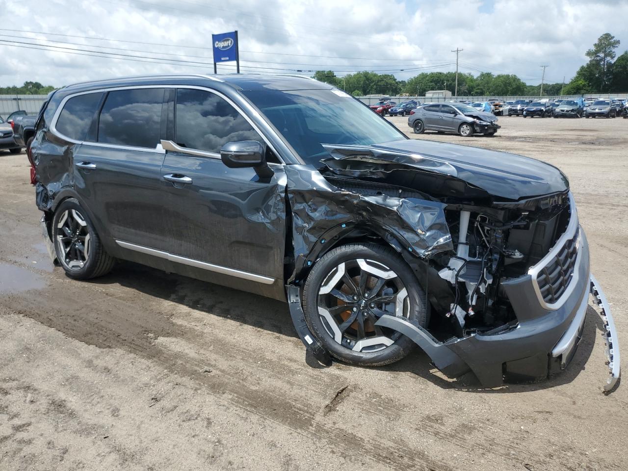 2024 KIA TELLURIDE S VIN:5XYP6DGC4RG520892