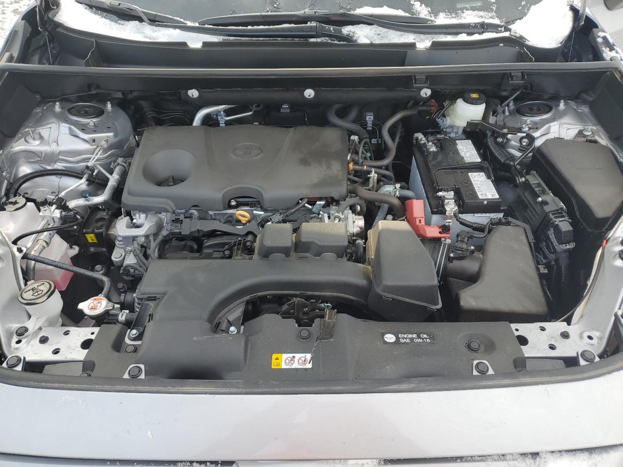 2024 TOYOTA RAV4 LE VIN:2T3G1RFV0RC475242