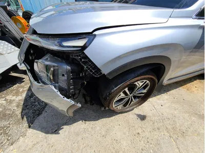 2019 Hyundai Santa FE KMHS381BBKU156411 VIN:KMHS381BBKU156411