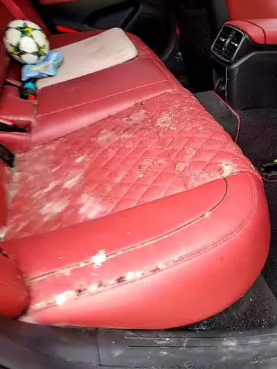 2020 Genesis G70 VIN: