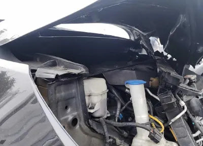 2019 Kia Carnival KNAMB81ABKS486998 VIN:KNAMB81ABKS486998