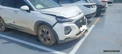 2019 Hyundai Santa FE KMHS381ADKU168779 VIN:KMHS381ADKU168779
