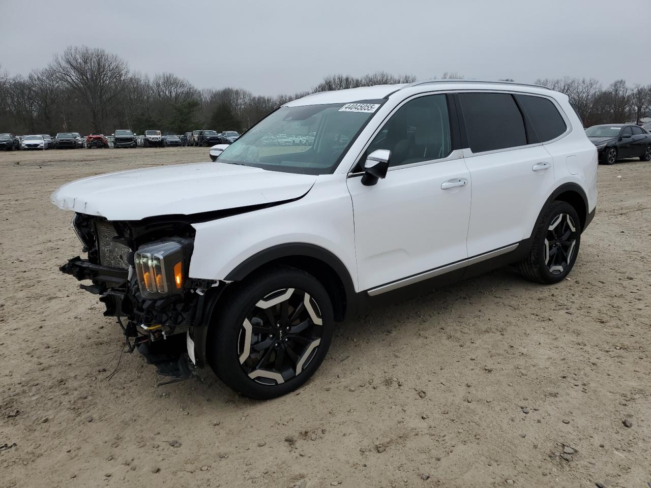 2024 KIA TELLURIDE S VIN:5XYP64GC9RG500914