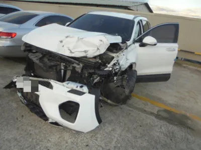 2018 Hyundai Santa FE KMHS281BDKU120334 VIN:KMHS281BDKU120334