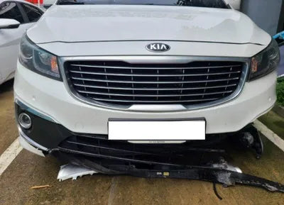 2018 Kia Carnival KNAMB81ABJS419058 VIN:KNAMB81ABJS419058