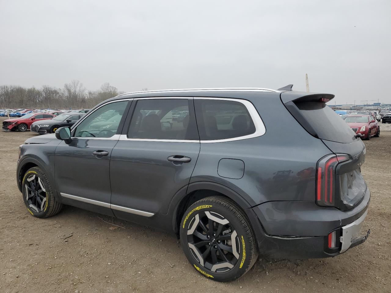 2024 KIA TELLURIDE EX VIN:5XYP3DGC7RG481336