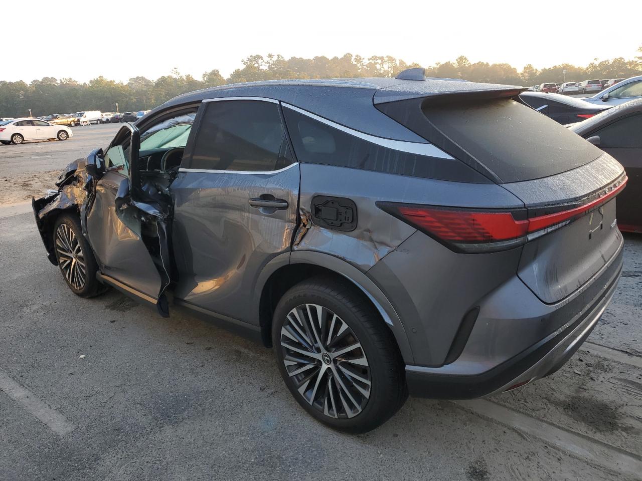 2023 LEXUS RX 350 BASE VIN:2T2BAMBA4PC010173