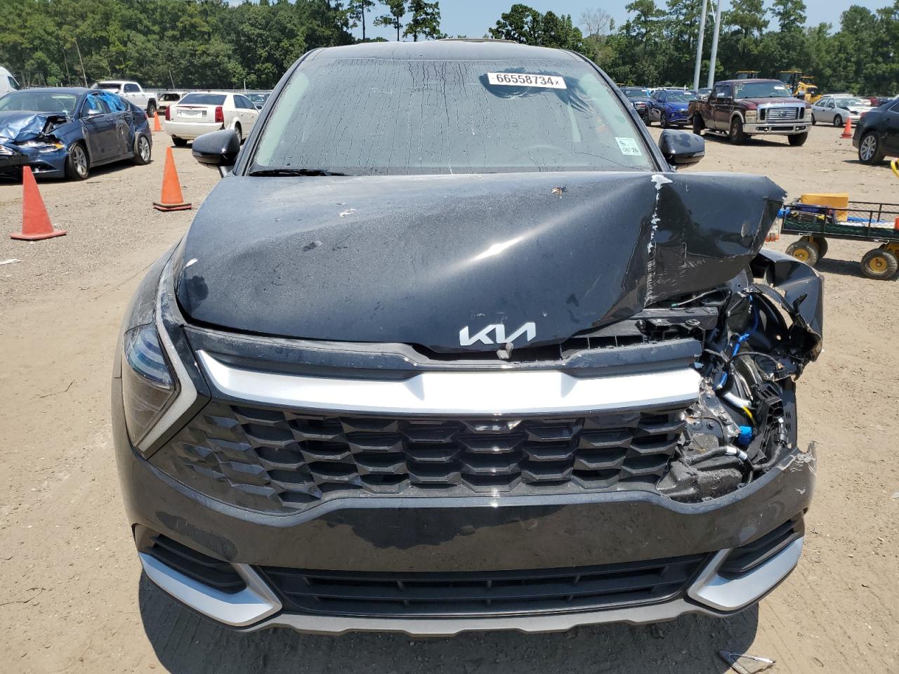 2024 KIA SPORTAGE EX VIN:5XYK33DF3RG229781