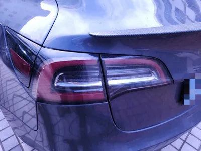 2021 Tesla Model 3 5YJ3E1EB4MF890220 VIN:5YJ3E1EB4MF890220