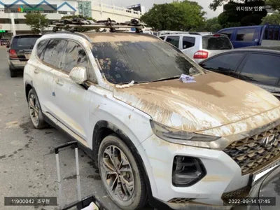 2019 Hyundai Santa FE KMHS381BBKU163728 VIN:KMHS381BBKU163728