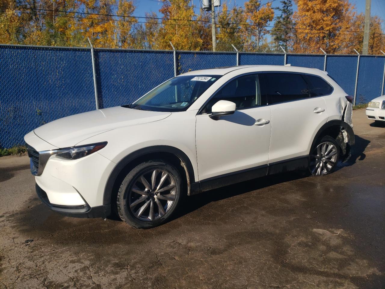 2023 MAZDA CX-9 TOURING VIN:JM3TCBCY6P0630317