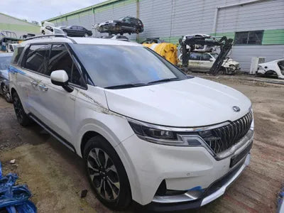 2020 Kia Carnival KNANC81BBMS004429 VIN:KNANC81BBMS004429