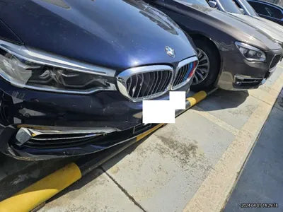 2020 BMW 520 WBAJF310XLWW54506 VIN:WBAJF310XLWW54506