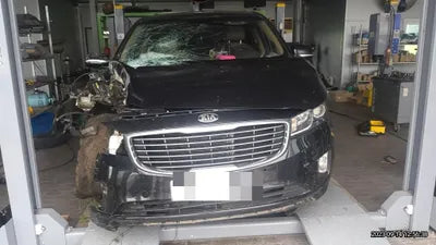 2014 Kia Carnival VIN: