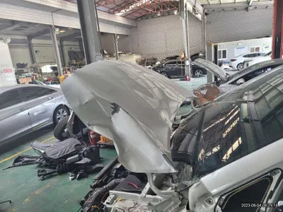 2019 Kia Carnival KNAMB81ABKS502641 VIN:KNAMB81ABKS502641