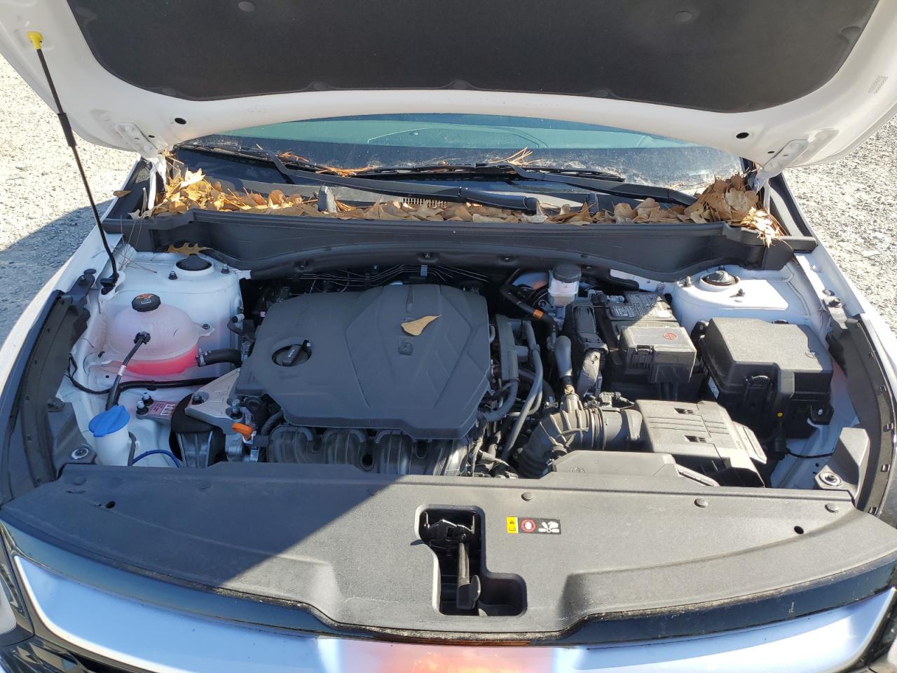 2024 KIA SPORTAGE SX PRESTIGE VIN:5XYK5CDFXRG208534