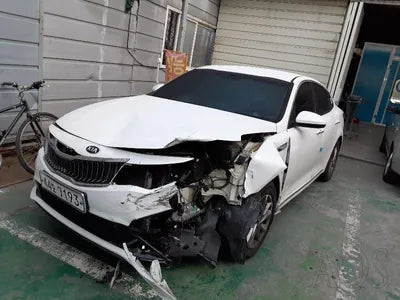 2019 Kia K5 KNAGS416BKA287619 VIN:KNAGS416BKA287619