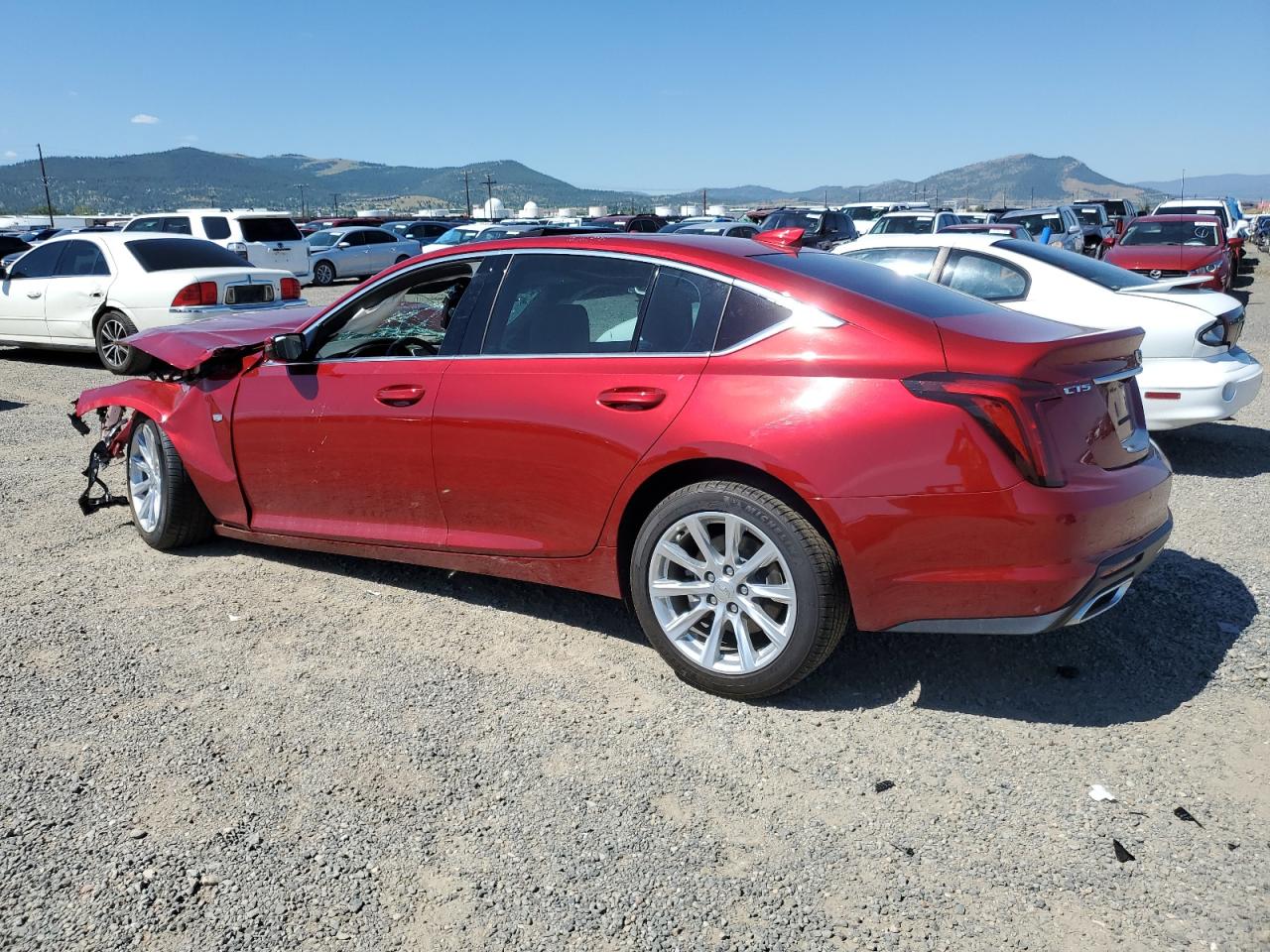 2024 CADILLAC CT5 LUXURY VIN:1G6DW5RKXR0123595
