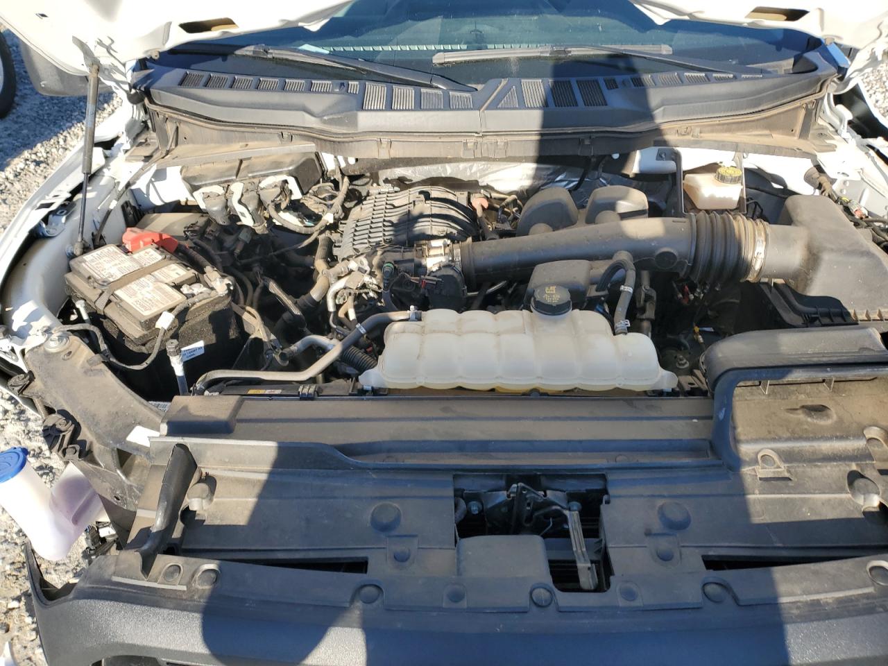 2023 FORD F150  VIN:1FTMF1CB2PKG05574