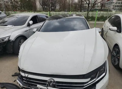 2019 Volkswagen Arteon WVWZZZ3HZKE016795 VIN:WVWZZZ3HZKE016795