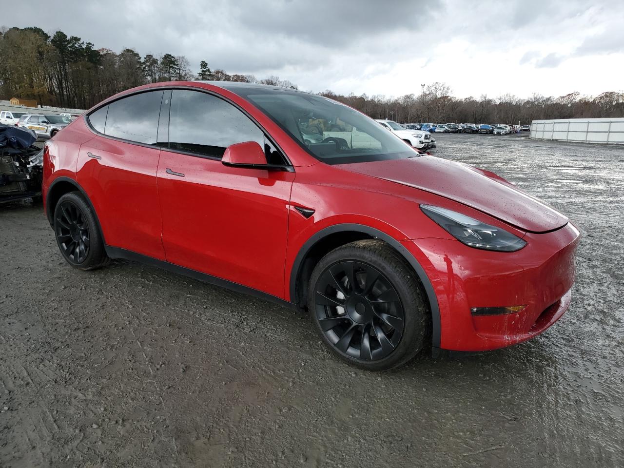 2023 TESLA MODEL Y  VIN:7SAYGDEE6PF668443