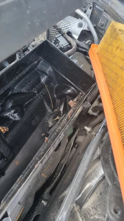 2019 Mercedes-Benz S 560 WDDUG8GB2KA425399 VIN:WDDUG8GB2KA425399