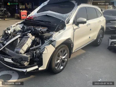 2020 Kia Sorento KNARL81BGMA016359 VIN:KNARL81BGMA016359
