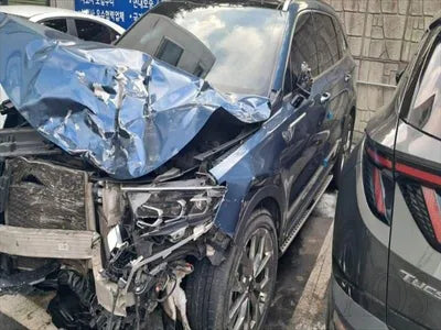 2020 Kia Sorento KNARH81BGMA062553 VIN:KNARH81BGMA062553