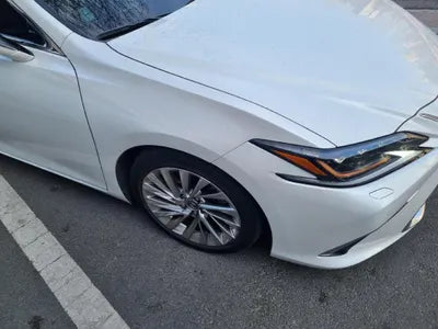 2019 Lexus ES 300 JTHB21B13K2065428 VIN:JTHB21B13K2065428