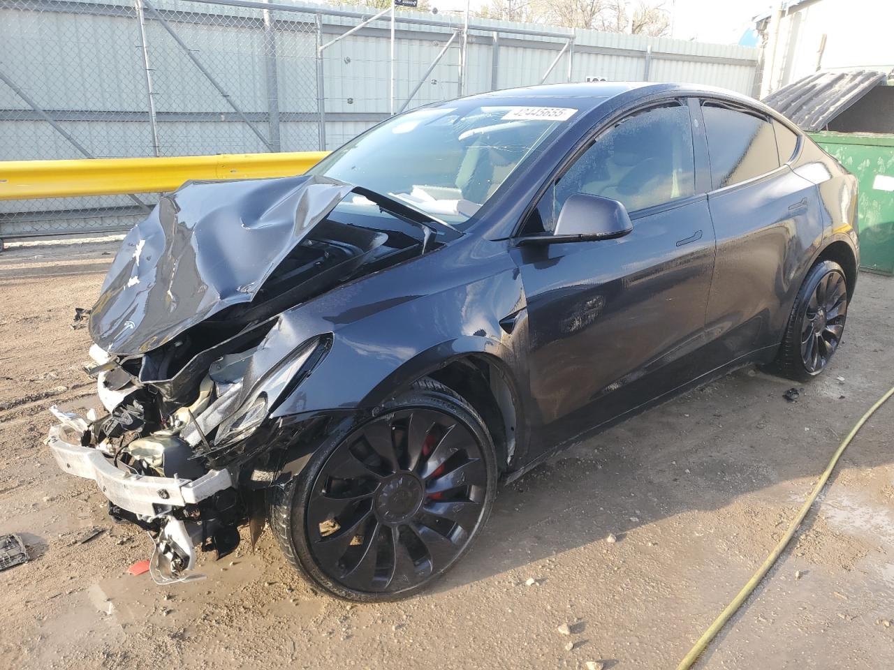 2024 TESLA MODEL Y  VIN:7SAYGDEF8RF034384