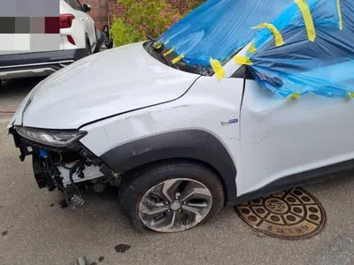2020 Hyundai Kona KMHK381EGLU034379 VIN:KMHK381EGLU034379