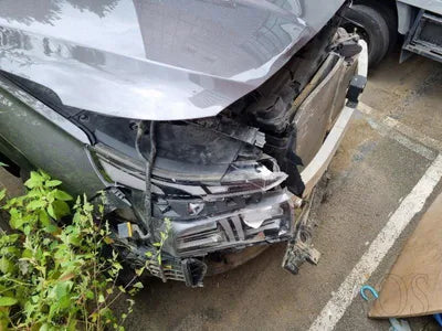 2021 Hyundai Santa FE KMHS281HGMU384949 VIN:KMHS281HGMU384949