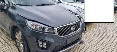 2017 Kia Sorento KNAPS81ABHA341237 VIN:KNAPS81ABHA341237