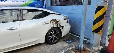 2016 Nissan Maxima 1N4AA6AP5GC438219 VIN:1N4AA6AP5GC438219