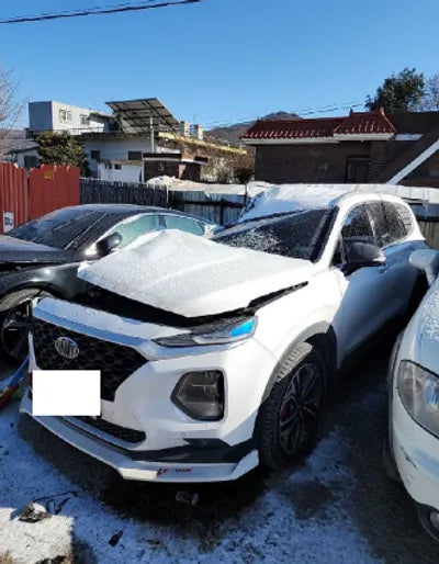 2019 Hyundai Santa FE KMHS281BBKU181514 VIN:KMHS281BBKU181514